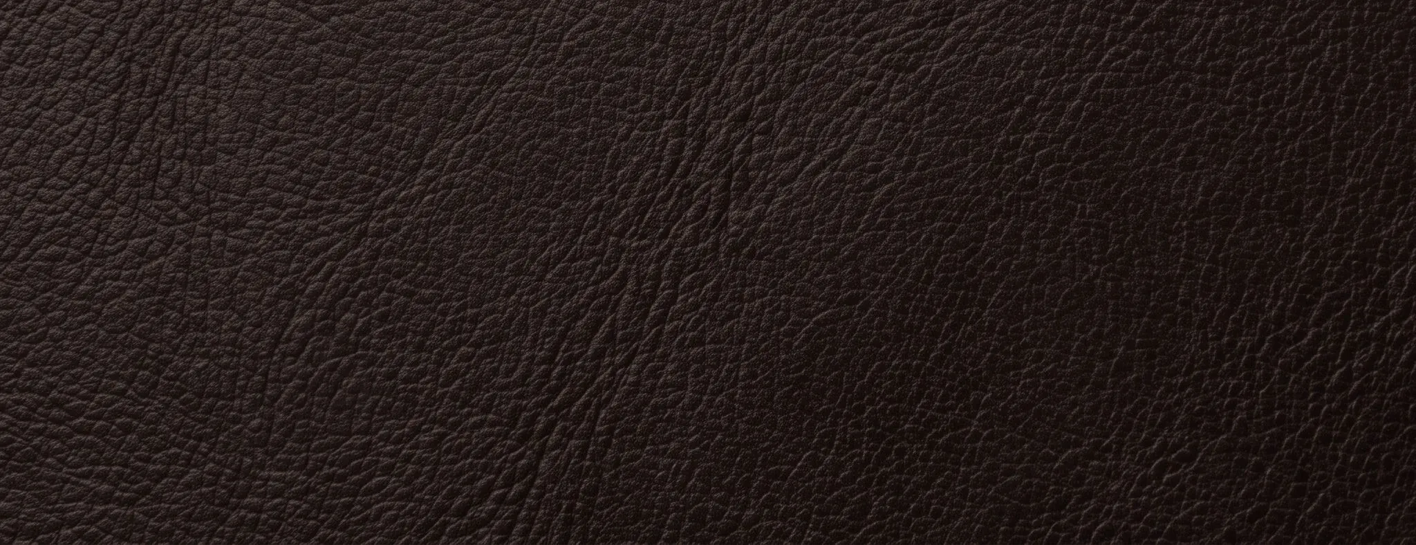 Detalhe de couro granulado escuro
